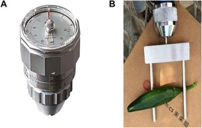 Genetics of destemming in pepper: A step towards mechanical harvesting